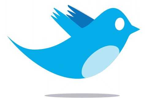 follow critters on twitter